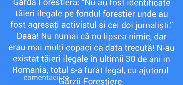 Polish_20210917_223246914