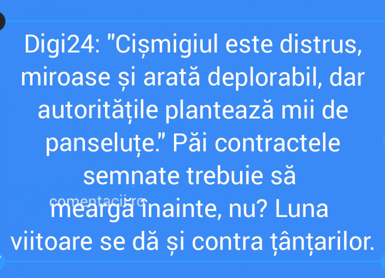 Polish_20210929_221102322