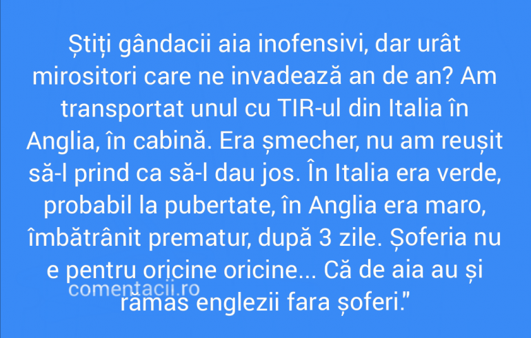 Polish_20211008_190834900