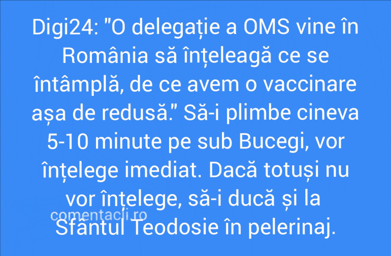 Polish_20211017_222108782