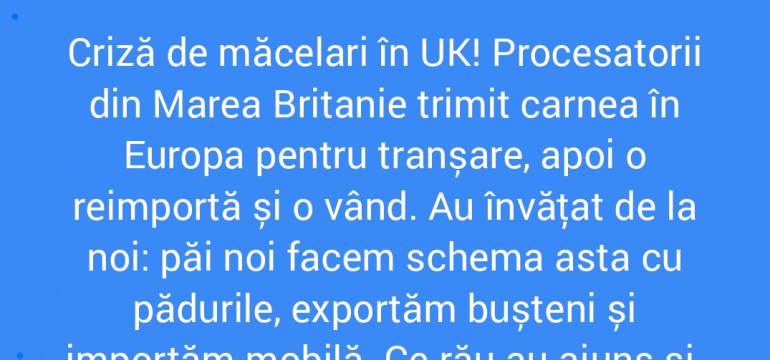 Polish_20211113_233145386