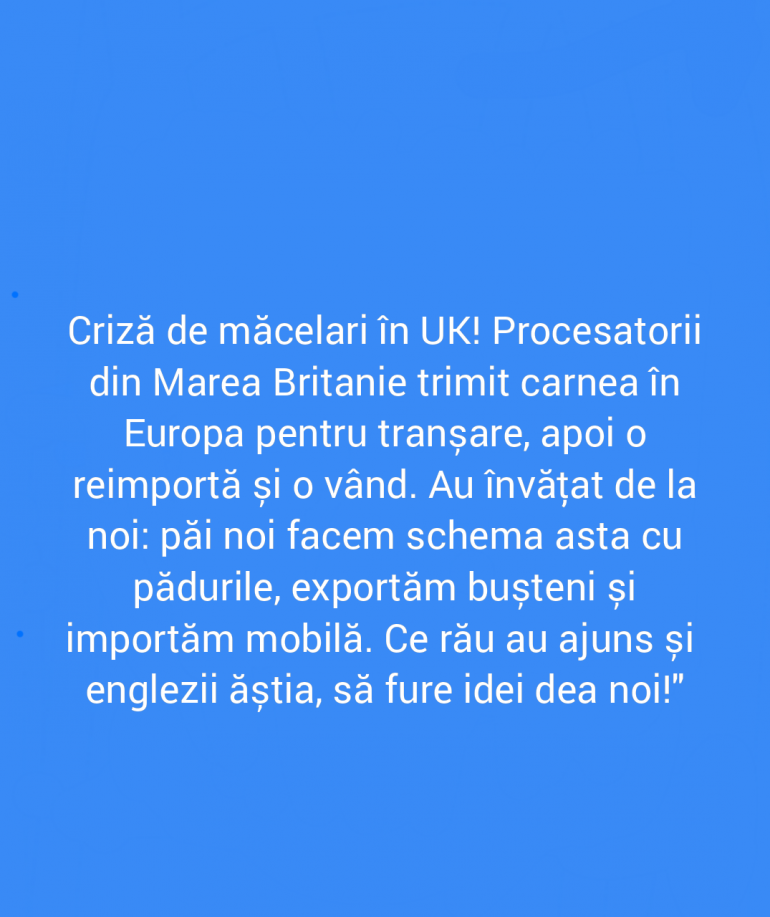 Polish_20211113_233145386