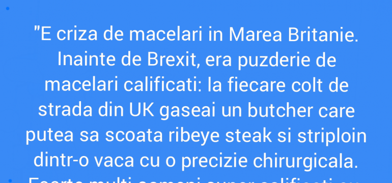 Polish_20211113_233542369