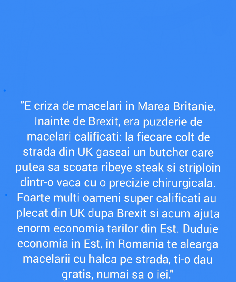 Polish_20211113_233542369