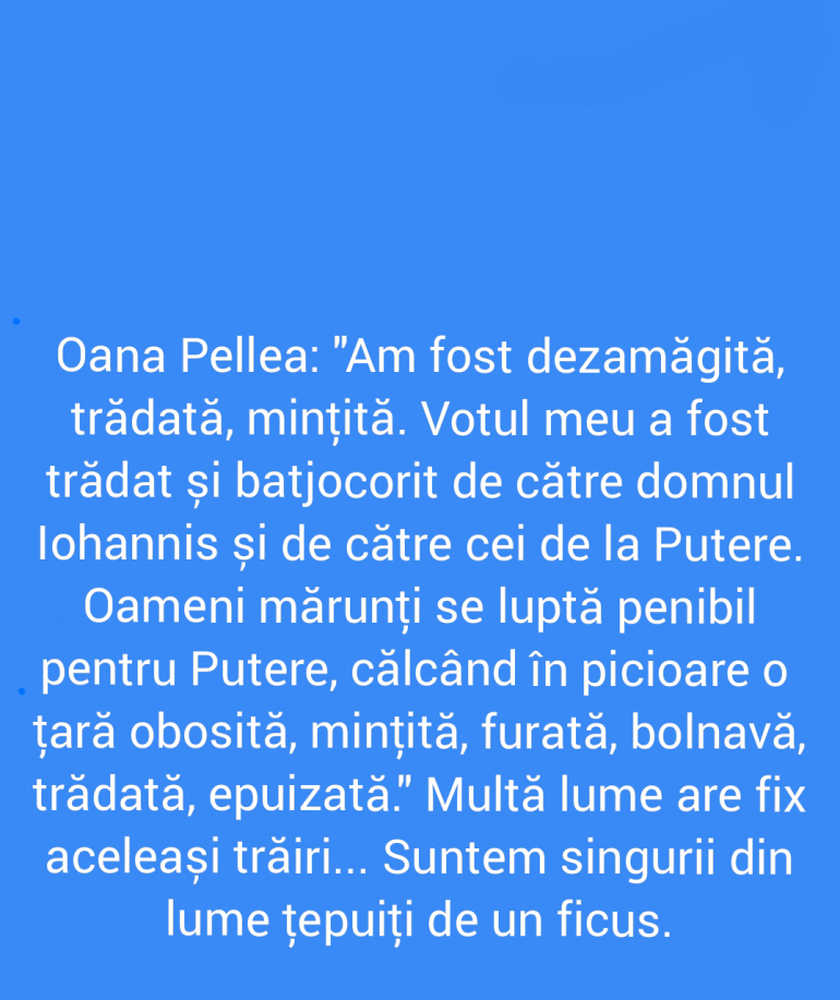 Polish_20211117_091017599