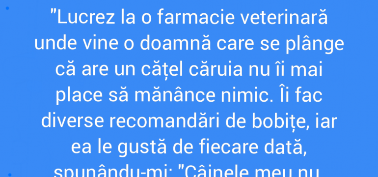 Polish_20211121_110148446