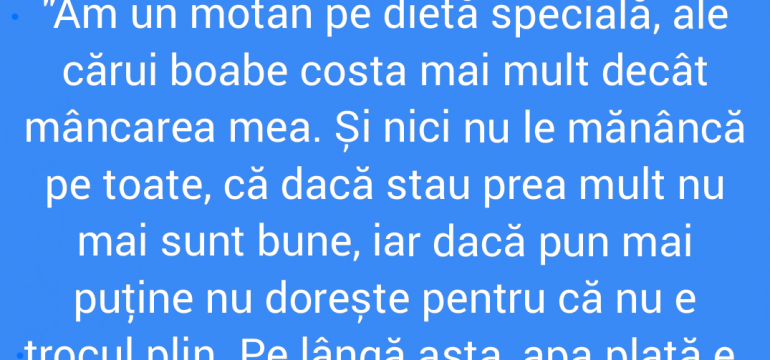 Polish_20211121_152926235