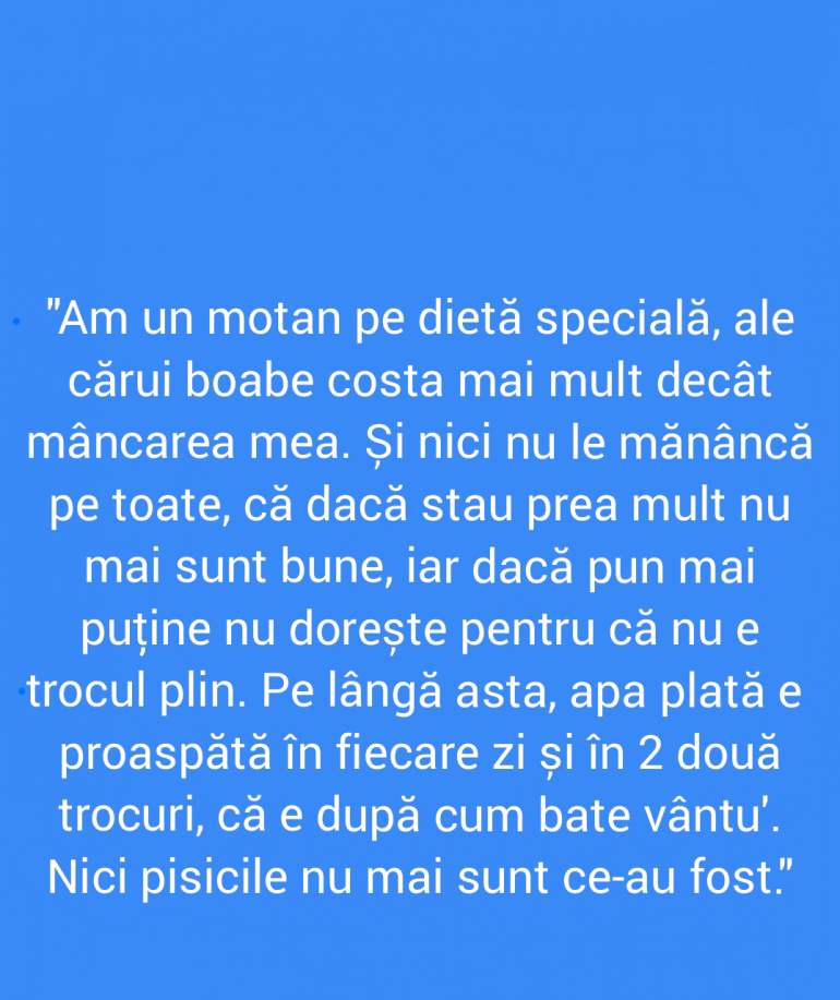 Polish_20211121_152926235