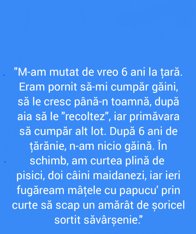 Polish_20211217_235745146