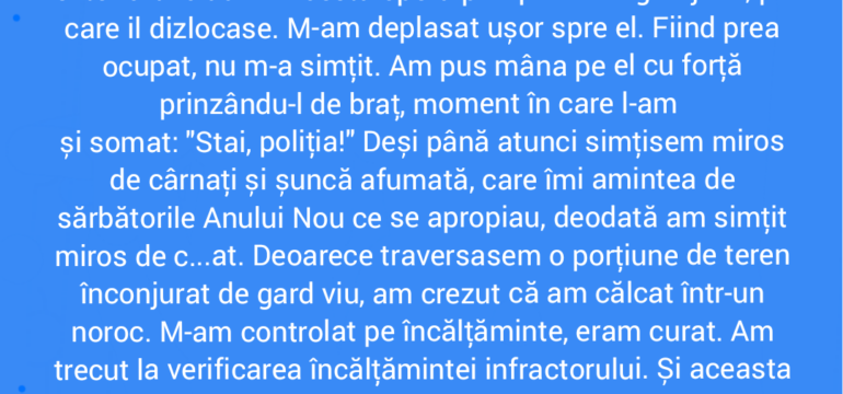 Polish_20220106_151504305