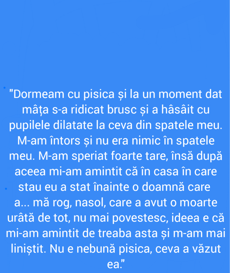 Polish_20220117_195334187