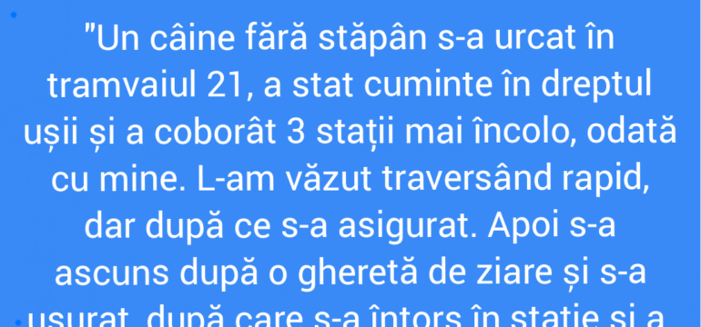 Polish_20220121_092958981