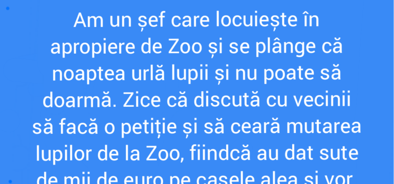 Polish_20220212_174227290