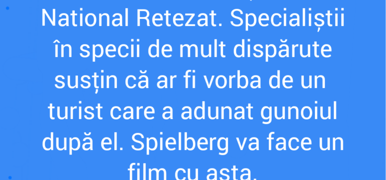 Polish_20220323_165850620