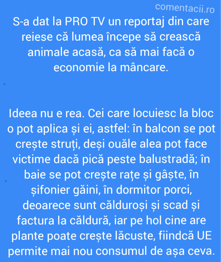 Polish_20220404_004632398