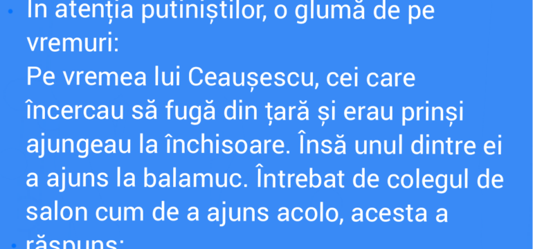 Polish_20220405_203934279