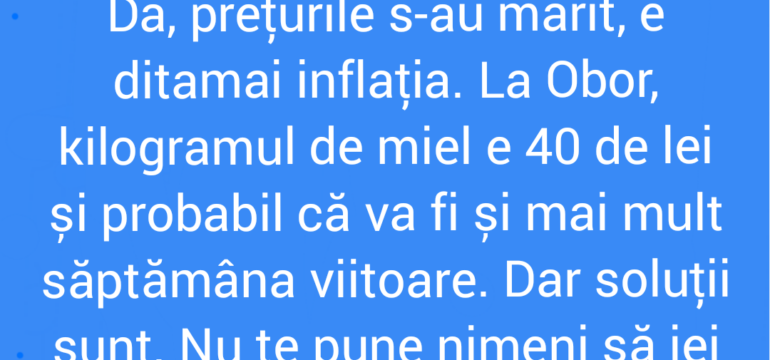 Polish_20220413_173338394