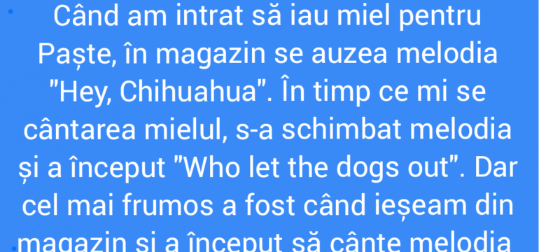 Polish_20220422_135658336