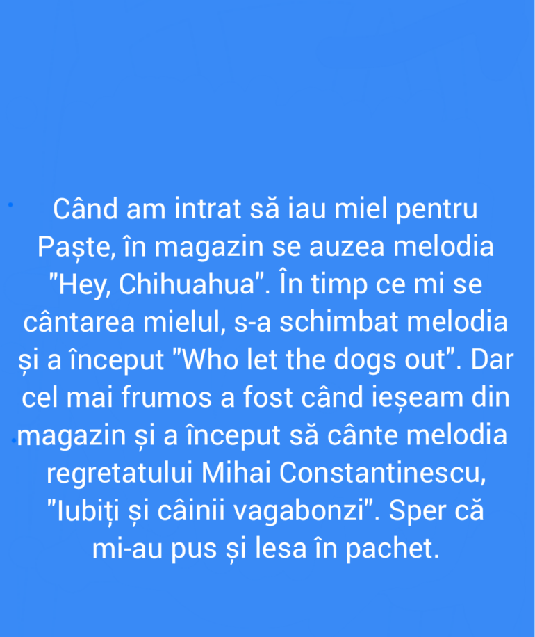 Polish_20220422_135658336