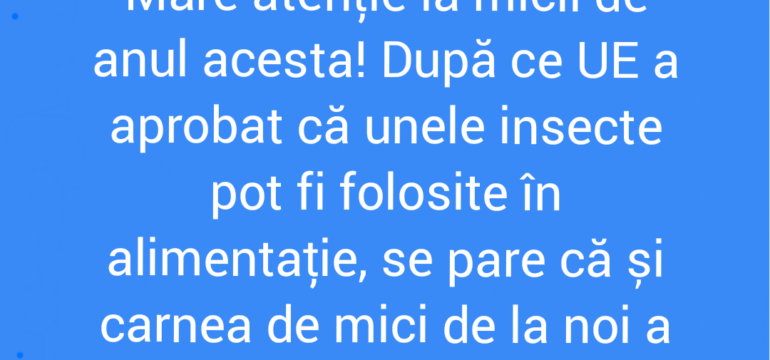 Polish_20220501_111917852