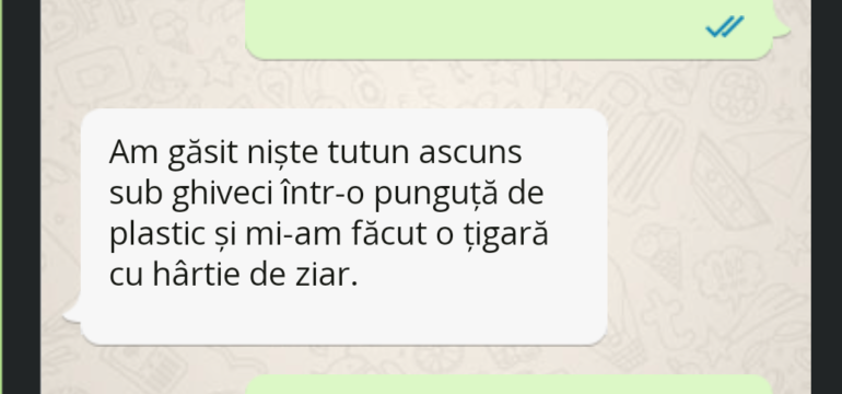 Polish_20220507_014200146