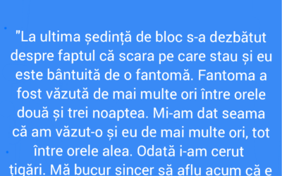 Polish_20220511_192403524