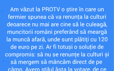 Polish_20220512_104027545
