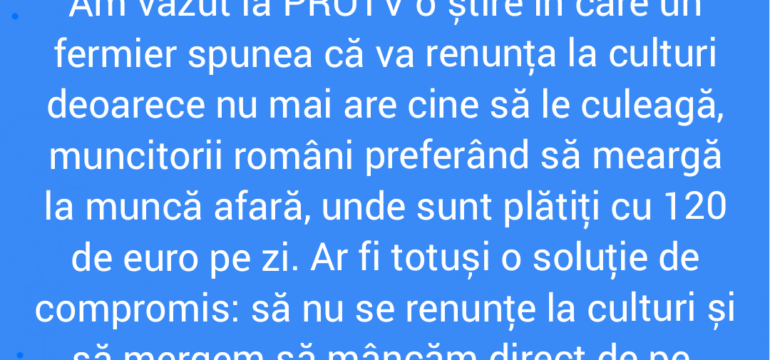 Polish_20220512_104027545