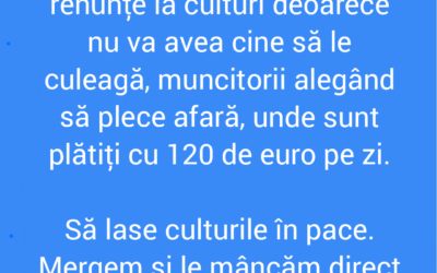 Polish_20220512_105318099
