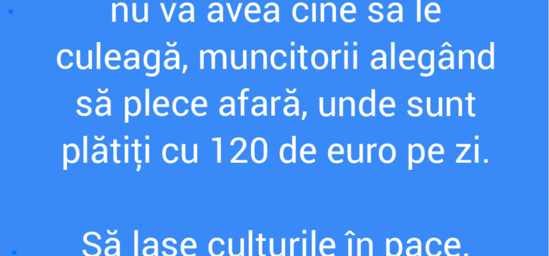 Polish_20220512_105318099