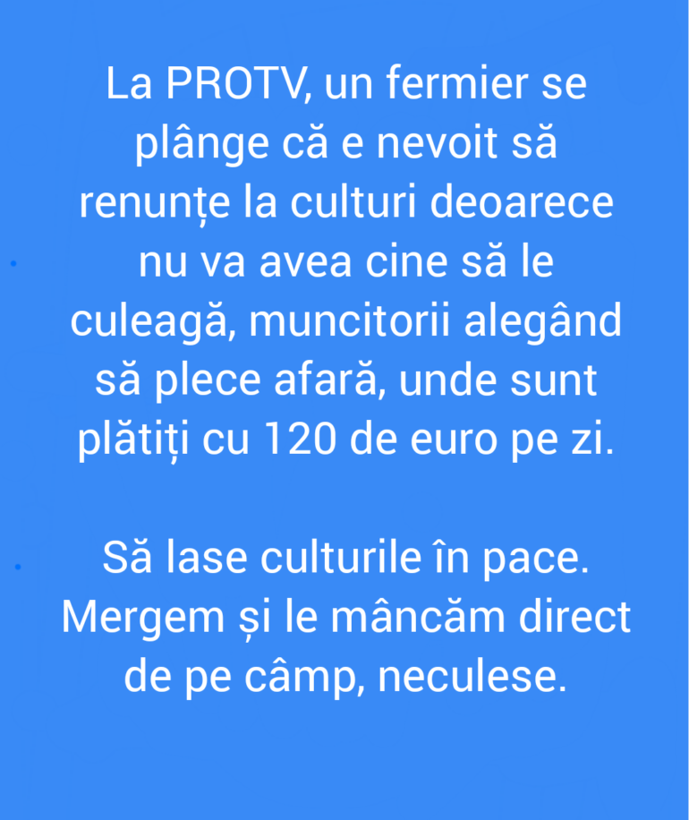 Polish_20220512_105318099