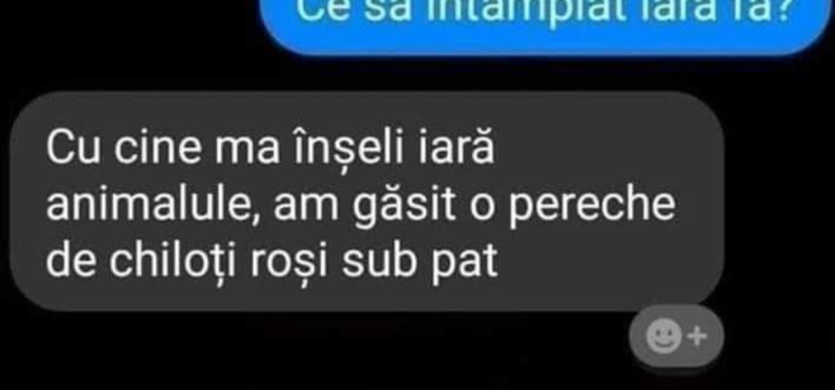 Polish_20220513_164137667