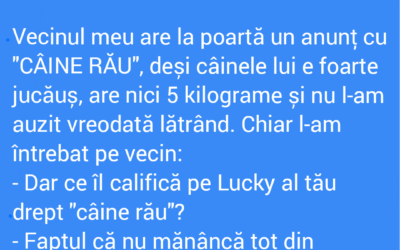 Polish_20220604_024619461
