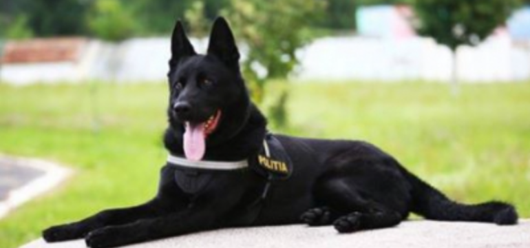 Polish_20220606_211038122