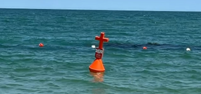 Polish_20220613_133332454