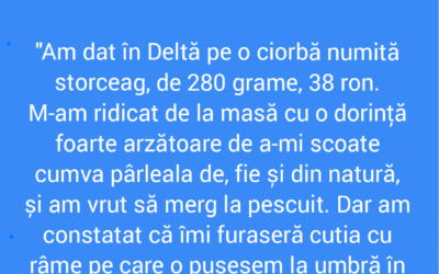 Polish_20220629_192902177