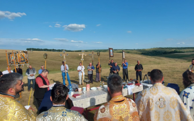 Polish_20220702_201943408