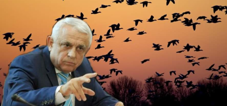 Polish_20220710_132019093