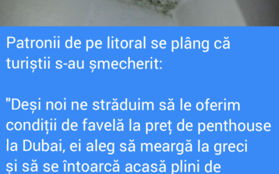 Polish_20220715_113817780