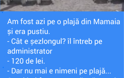 Polish_20220717_230755802