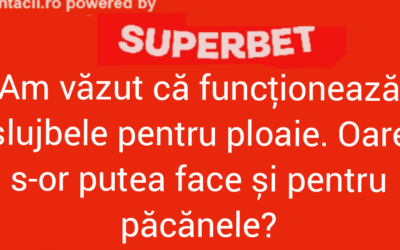 Polish_20220724_162619060