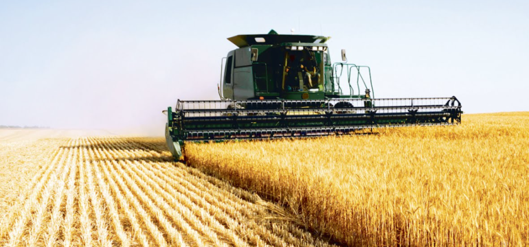 Polish_20220803_213640820