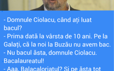 Polish_20220822_130255305