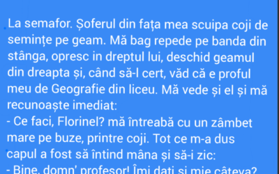 Polish_20220823_203615280