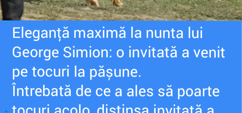 Polish_20220828_114635564