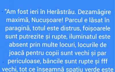 Polish_20220829_123335106