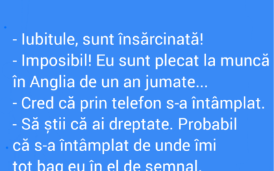 Polish_20220902_191853243