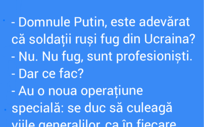 Polish_20220910_225510125