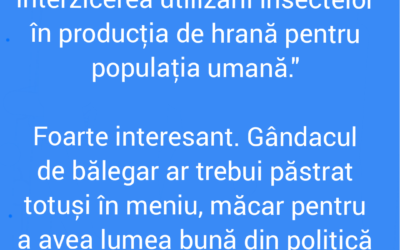 Polish_20220914_212905282