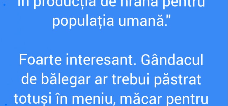 Polish_20220914_212905282